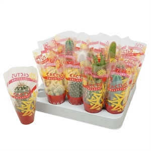 Кактус микс 5/8 (Nieuwkoop Europe), 41044 41044