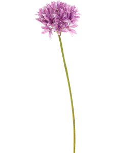 Агапантус цветок (искусственный) Nieuwkoop Europe 41372