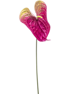 Антуриум цветок (искусственный) Nieuwkoop Europe 41380