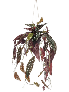 Бегония макулата ампельная в горшке (искусственная) Nieuwkoop Europe 41392