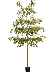 Буцида дерево (искусственное) Nieuwkoop Europe 41406