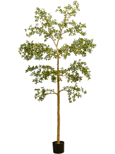 Буцида (искусственная) Nieuwkoop Europe, 41408 41408