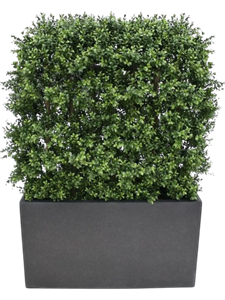 Самшит вечнозелёный (искусственный) Nieuwkoop Europe 41410