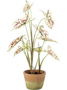 Каладиум кремово-красный в горшке (искусственное/ая/ый) Nieuwkoop Europe 41412