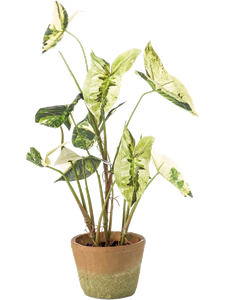 Каладиум бело-зелёный в горшке (искусственное/ая/ый) Nieuwkoop Europe 41413