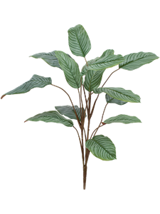 Калатея ветка (искусственная) Nieuwkoop Europe 41414