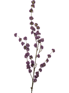 Красивоплодник фиолетовый (искусственный) Nieuwkoop Europe 41415