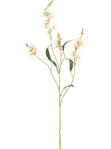 Камассия персиковая (искусственная) Nieuwkoop Europe 41416