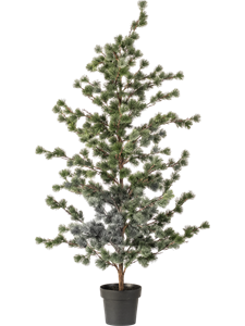 Сосна кедровая (искусственная) Nieuwkoop Europe 41420