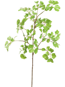 Сельдерей ветка зелёная (искусственная) Nieuwkoop Europe 41421