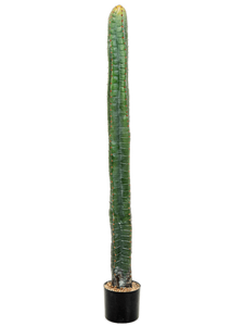 Цереус (140 cm) (искусственный) Nieuwkoop Europe 41423