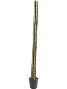Колонновидный кактус в кашпо (искусственный) Nieuwkoop Europe 41432
