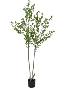 Энкиантус почкочешуйный (искусственный) Nieuwkoop Europe, 41454 41454