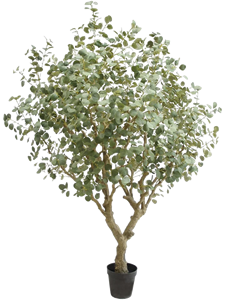 Эвкалипт дерево 240 cm (искусственное) Nieuwkoop Europe 41461