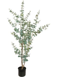 Эвкалипт дерево (искусственное) Nieuwkoop Europe 41463