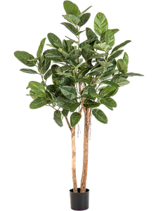 Фикус Одри (искусственный) Nieuwkoop Europe, 41486 41486