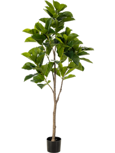 Фикус Бенгальский (искусственный) Nieuwkoop Europe 41488