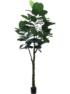 Фикус Эластика 300cm (knock down packing) (искусственный) Nieuwkoop Europe 41489