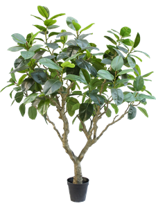 Фикус Эластика 240cm (knock down packing) (искусственный) Nieuwkoop Europe 41490