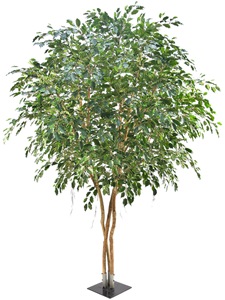 Фикус Экзотика (fr) (искусственный) Nieuwkoop Europe, 41492 41492