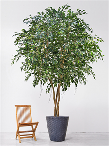 Фикус Экзотика (fr) (искусственный) Nieuwkoop Europe, 41493 41493