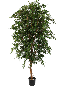 Фикус Фолиа (искусственный) Nieuwkoop Europe 41496