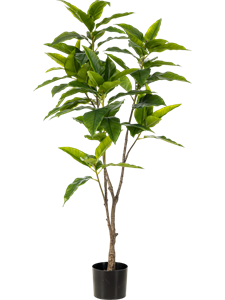 Фикус Лонгифолия (искусственный) Nieuwkoop Europe, 41497 41497