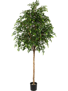 Фикус Наташа (искусственный) Nieuwkoop Europe, 41500 41500