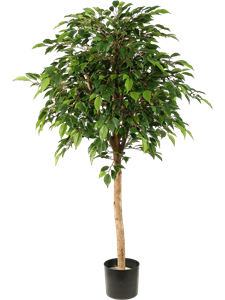 Фикус Наташа (искусственный) Nieuwkoop Europe, 41501 41501