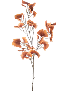 Гинкго ветка коралловая (искусственное/ая/ый) Nieuwkoop Europe 41519