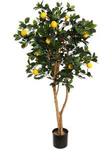 Лимонное дерево (искусственное) Nieuwkoop Europe, 41520 41520