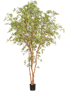 Японский клён (искусственный) Nieuwkoop Europe 41542