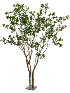 Лавр дерево (knock down packing) (искусственное) Nieuwkoop Europe 41550