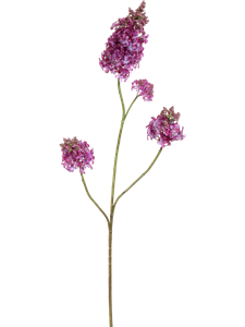 Сирень ветка (искусственное/ая/ый) Nieuwkoop Europe 41554