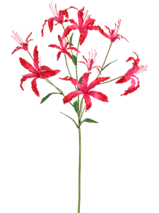 Ликорис лучистый цветок (искусственный) Nieuwkoop Europe 41558