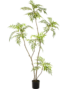 Магония дерево (knock down) (искусственное) Nieuwkoop Europe 41562