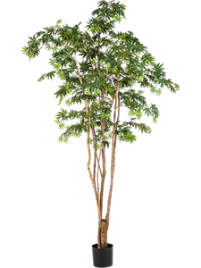 Клён дикий натуральный 240 (искусственный) Nieuwkoop Europe 41634