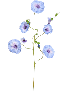 Вьюнок голубой цветок (искусственный) Nieuwkoop Europe 41645