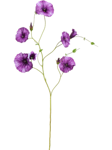 Вьюнок фиолетовый цветок (искусственный) Nieuwkoop Europe 41646