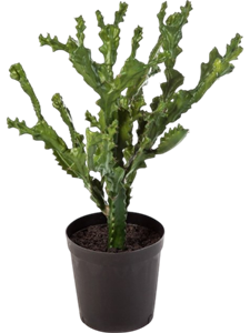 Кактус горный в горшке (искусственный) Nieuwkoop Europe 41647