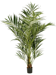 Кентия пальма 150 (fr) (искусственная) Nieuwkoop Europe 41651