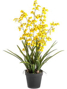 Онцидиум жёлтый (искусственный) Nieuwkoop Europe 41663