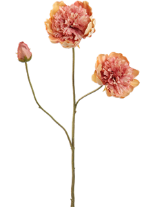 Пион цветок персиковый (искусственный) Nieuwkoop Europe 41664