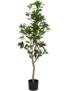 Пиерис 145 (искусственный) Nieuwkoop Europe 41687