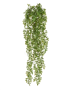 Рускус Италика ампельный (искусственный) Treez Collection 41926