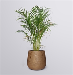 {{productViewItem.photos[photoViewList.activeNavIndex].Alt || productViewItem.photos[photoViewList.activeNavIndex].Description || 'Кашпо Алми Аурум'}}