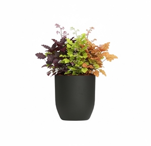 {{productViewItem.photos[photoViewList.activeNavIndex].Alt || productViewItem.photos[photoViewList.activeNavIndex].Description || 'Кашпо CONCRETIKA ЙАР ИДЕАЛЬНО ЧЕРНЫЙ'}}