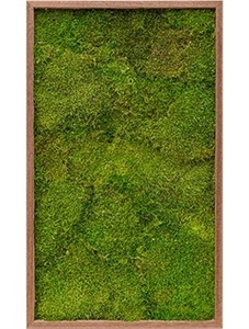Картина из мха meranti 100% flat moss (искусственная) Nieuwkoop Europe