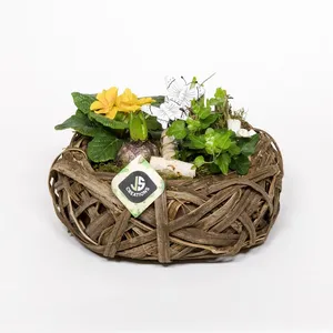 Композиция растений 2003 (GL) 18460