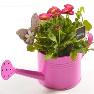 Композиция растений 1706 (GL) 18463